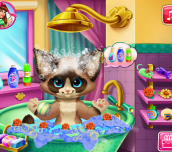 Hra - Kitten Bath